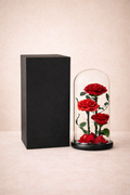Valentine Forever Love – Trio Preserved Roses - Onlineflowersdubai.ae